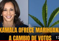 La incompetente «Risa Loca» (Kamala Harris) acusa a los afroamericanos (negros) de drogadictos; Vídeos