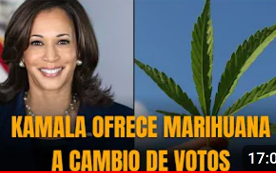 La incompetente «Risa Loca» (Kamala Harris) acusa a los afroamericanos (negros) de drogadictos; Vídeos