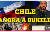 Chile se desespera y clama por Nayib Bukele; Vídeo