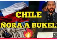 Chile se desespera y clama por Nayib Bukele; Vídeo