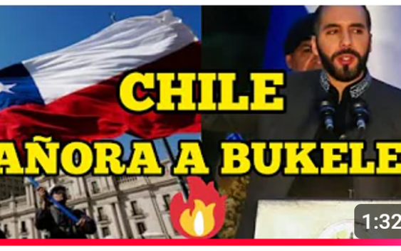 Chile se desespera y clama por Nayib Bukele; Vídeo