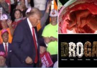 Presidente Donald Trump noquea a Kamala en La Florida; Gana elecciones y NO al aborto y a la marihuana