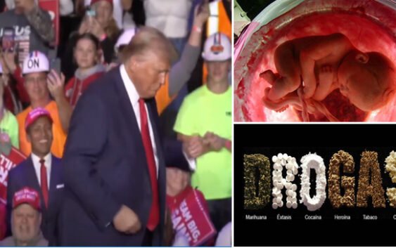 Presidente Donald Trump noquea a Kamala en La Florida; Gana elecciones y NO al aborto y a la marihuana