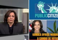 Kamala no perdió por lo que tiene entre las piernas; Perdió por terrorismos como el de «Public Citizen»