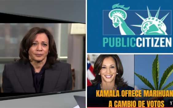 Kamala no perdió por lo que tiene entre las piernas; Perdió por terrorismos como el de «Public Citizen»